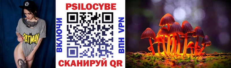 Псилоцибиновые грибы Psilocybe Котельниково