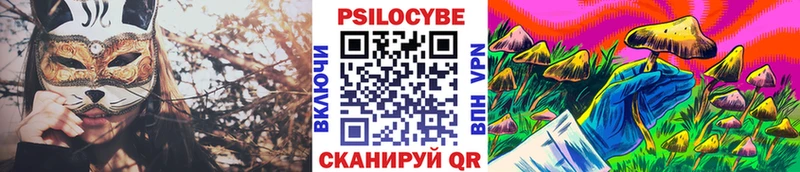 Псилоцибиновые грибы Psilocybine cubensis  закладка  Котельниково 